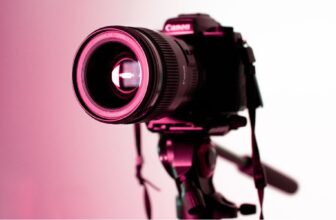 What Are the Best Cameras for Wildlife Photography?